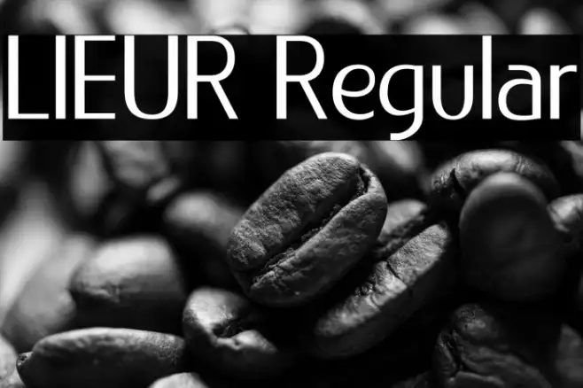 LIEUR Regular Example 2