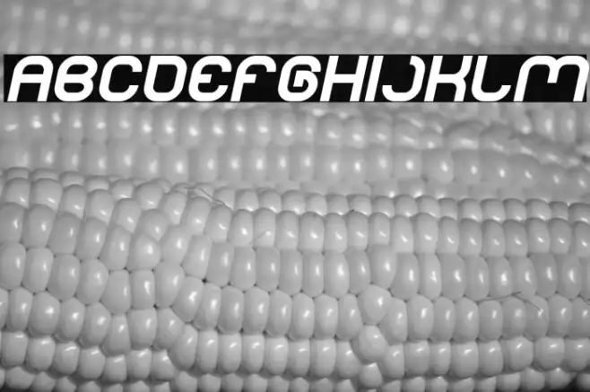 LIFE FOR FUN Bold Italic Example 1