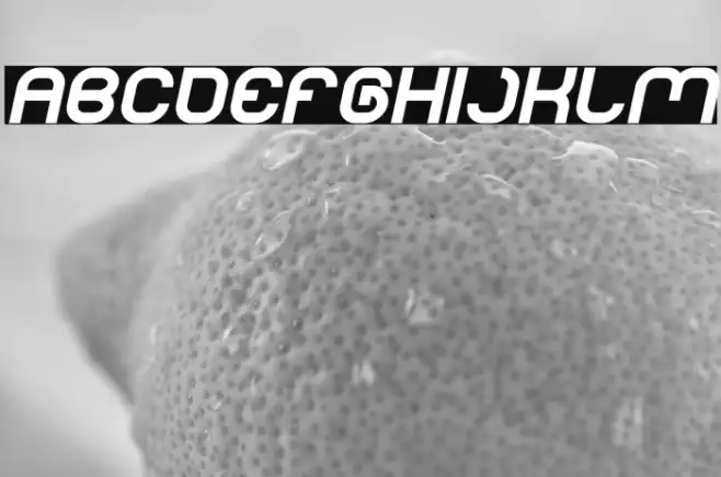 LIFE FOR FUN Bold Italic Example 3
