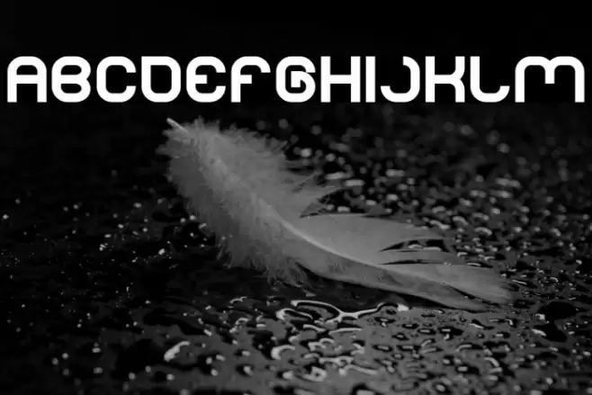 LIFE FOR FUN Bold Font examples