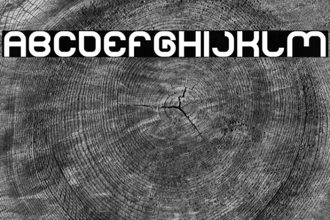 LIFE FOR FUN Bold Font examples