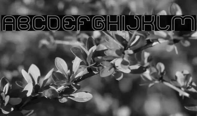 LIFE FOR FUN-Hollow Font examples