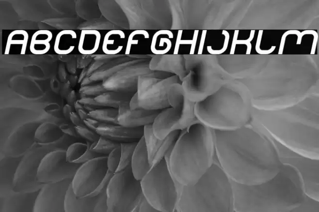 LIFE FOR FUN Italic Font examples