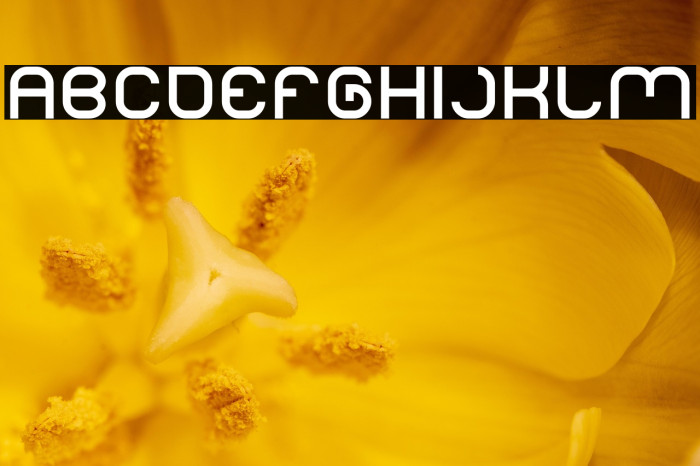 LIFE FOR FUN-Light Example 3