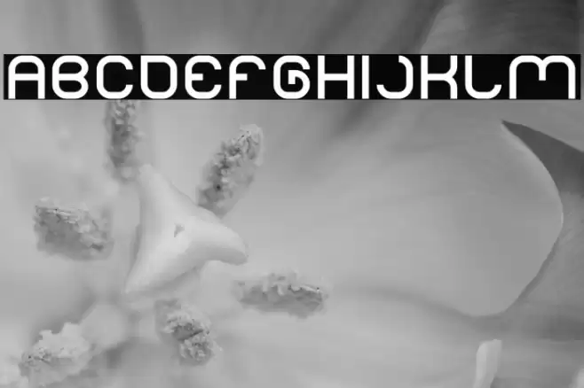 LIFE FOR FUN-Light Font examples