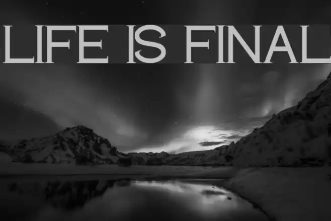 LIFE IS FINAL Polices examples