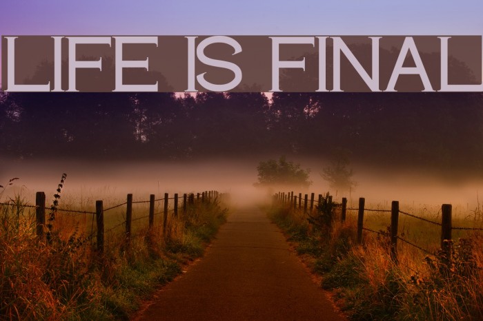 LIFE IS FINAL Font examples