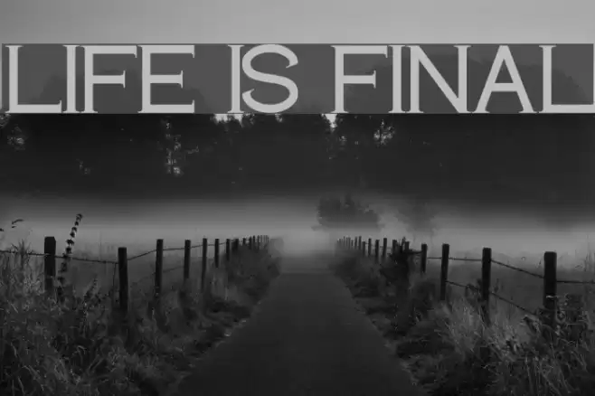 LIFE IS FINAL Polices examples