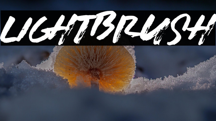 LIGHTBRUSH Example 1