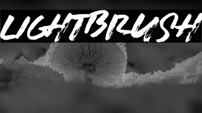 LIGHTBRUSH Font examples