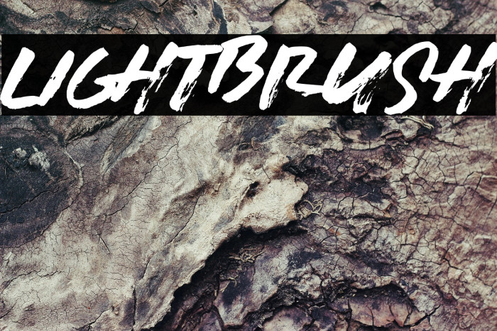 LIGHTBRUSH Example 2