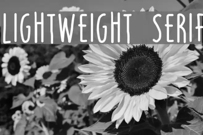 LIGHTWEIGHT SERIF Font examples