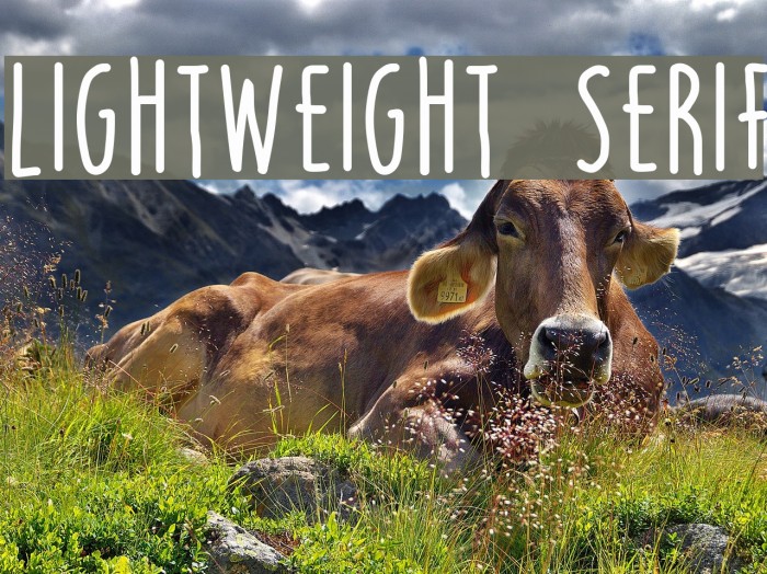 LIGHTWEIGHT SERIF Font examples
