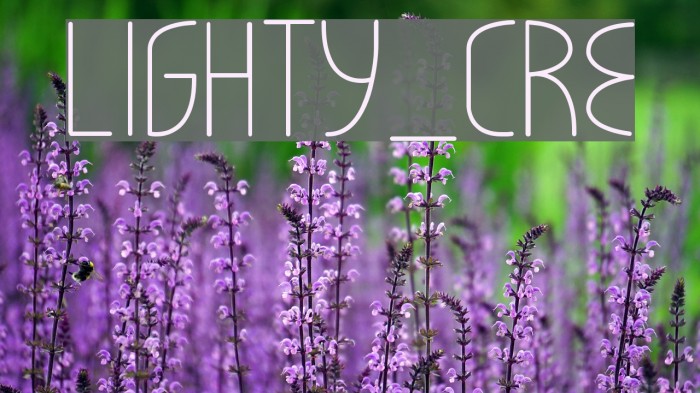 LIGHTY_CRE Example 2