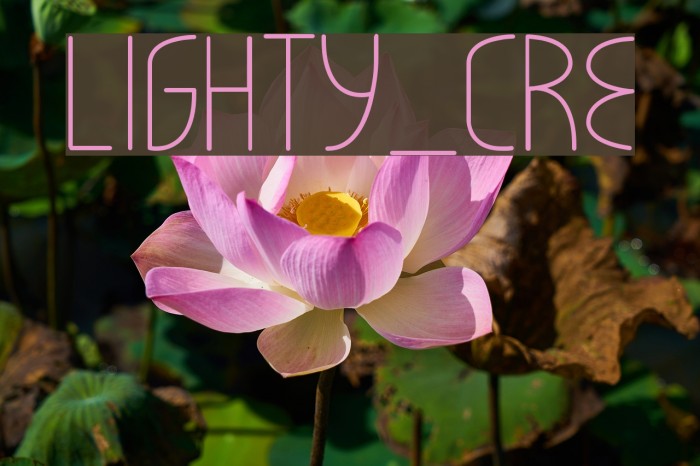 LIGHTY_CRE Example 3