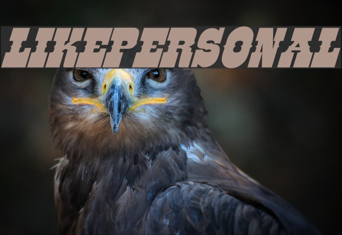 LIKE-PERSONAL Font examples
