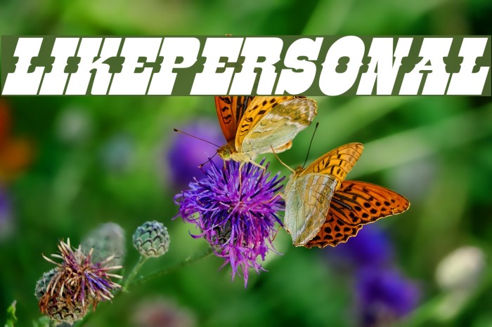 LIKE-PERSONAL Font examples