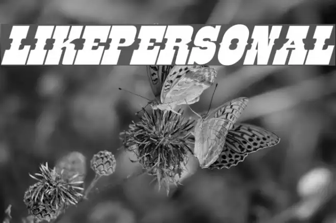 LIKE-PERSONAL Example 2