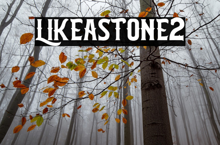 LIKEASTONE2 Example 2