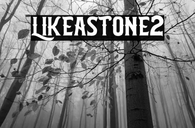LIKEASTONE2 Example 2