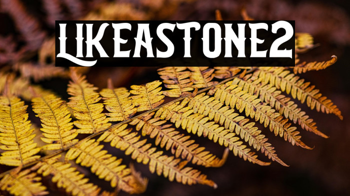 LIKEASTONE2 Example 3