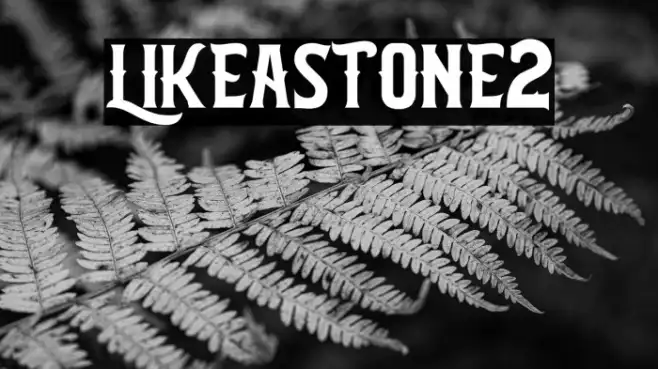 LIKEASTONE2 Example 3