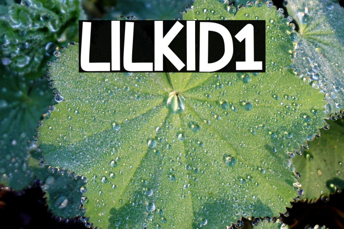 LILKID1 Example 2