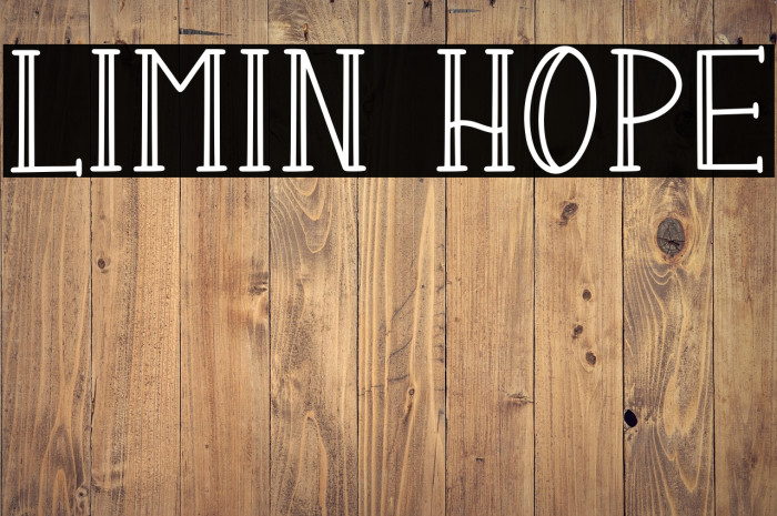 LIMIN HOPE Example 2