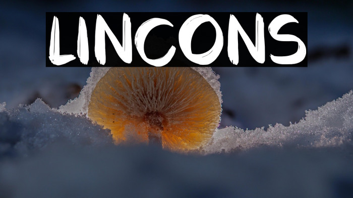 LINCONS Example 3