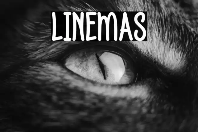 LINEMAS خط examples