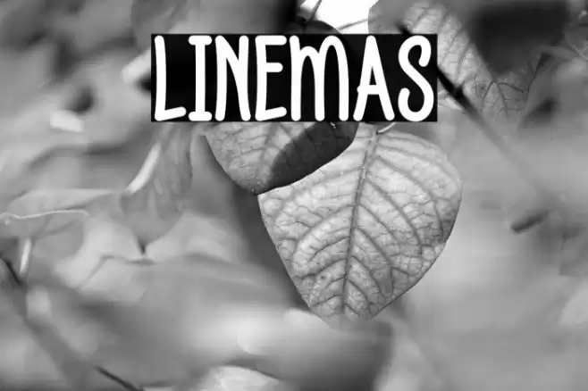 LINEMAS خط examples