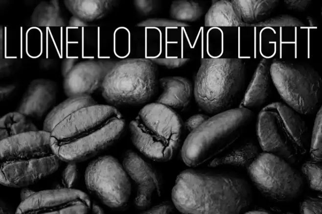 LIONELLO DEMO Light Font examples