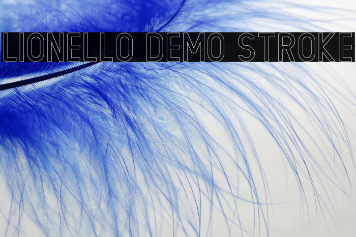 LIONELLO DEMO Stroke Example 1