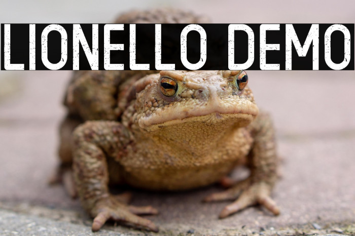 LIONELLO DEMO Example 1