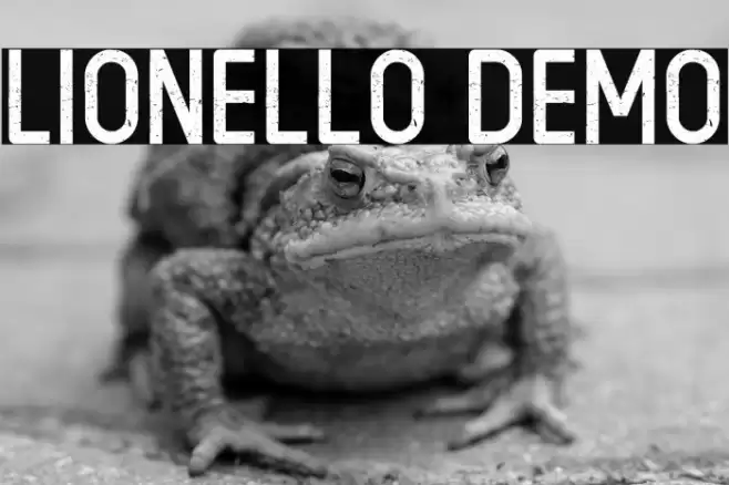 LIONELLO DEMO Font examples
