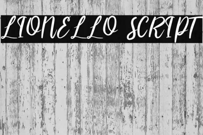LIONELLO SCRIPT Example 2