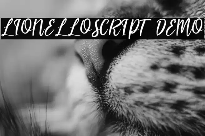 LIONELLOSCRIPT DEMO Font examples