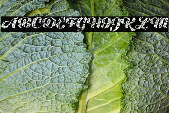 LIQUID SKY PERSONAL USE Example 2