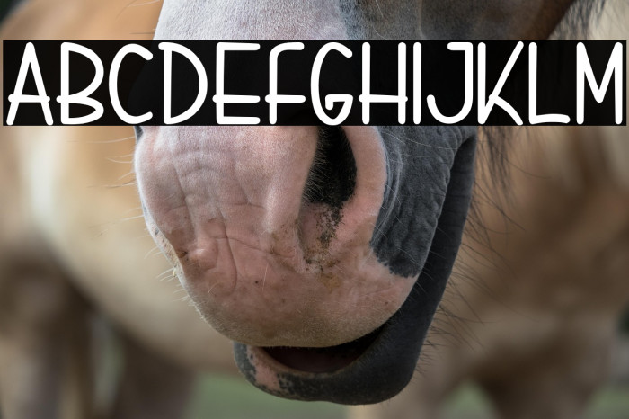 LIQUIDBLOSS Example 1