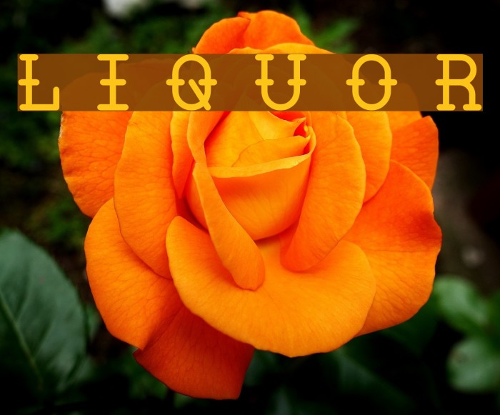 LIQUOR Font examples