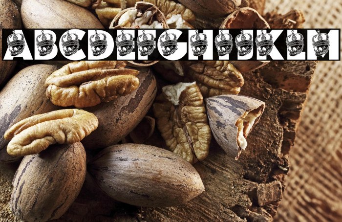 LITLE KING PERSONAL USE Regular Example 1