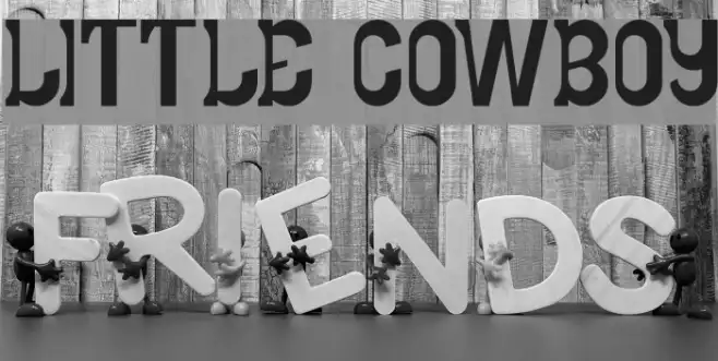 LITTLE COWBOY Example 1