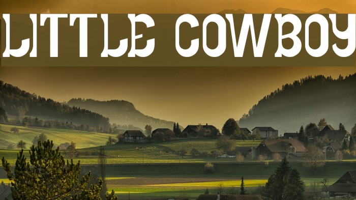 LITTLE COWBOY Font examples