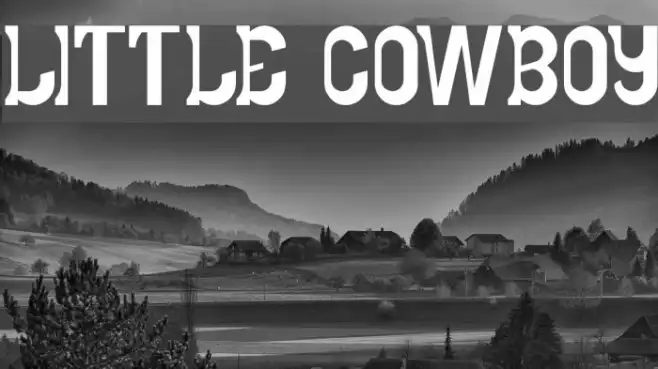 LITTLE COWBOY Example 2