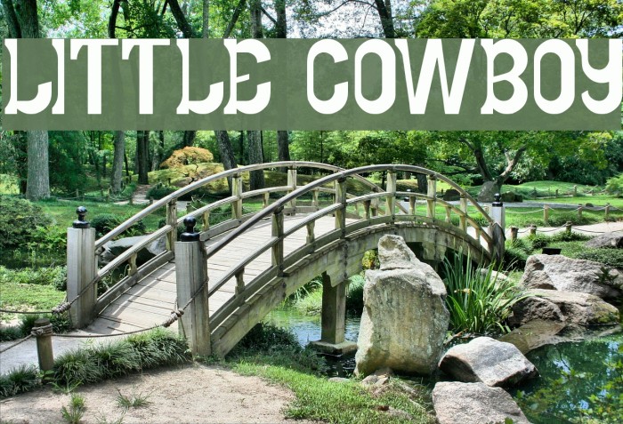 LITTLE COWBOY Font examples