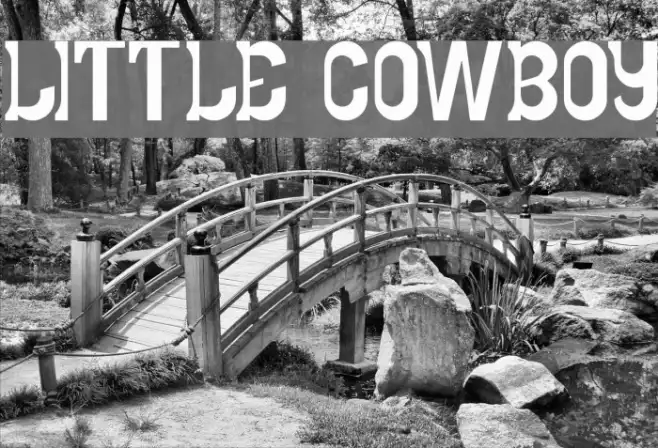 LITTLE COWBOY Example 3