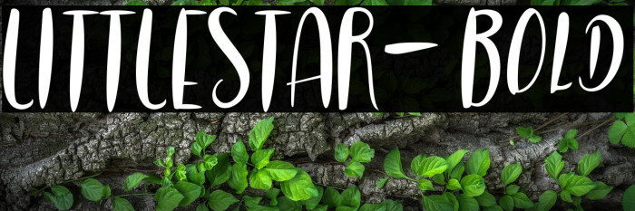 LITTLESTAR-Bold Example 2