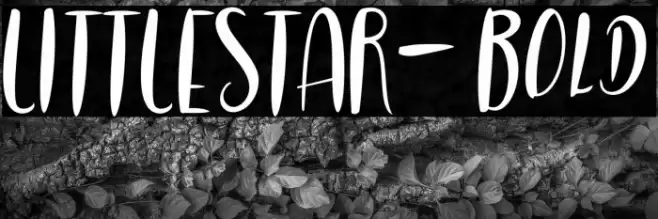 LITTLESTAR-Bold Font examples
