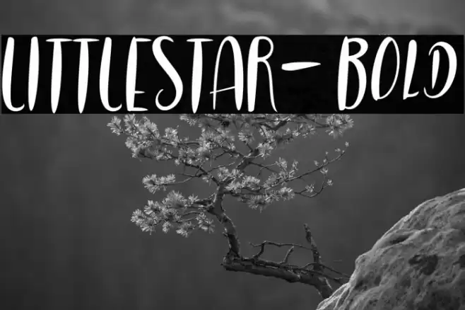 LITTLESTAR-Bold Font examples