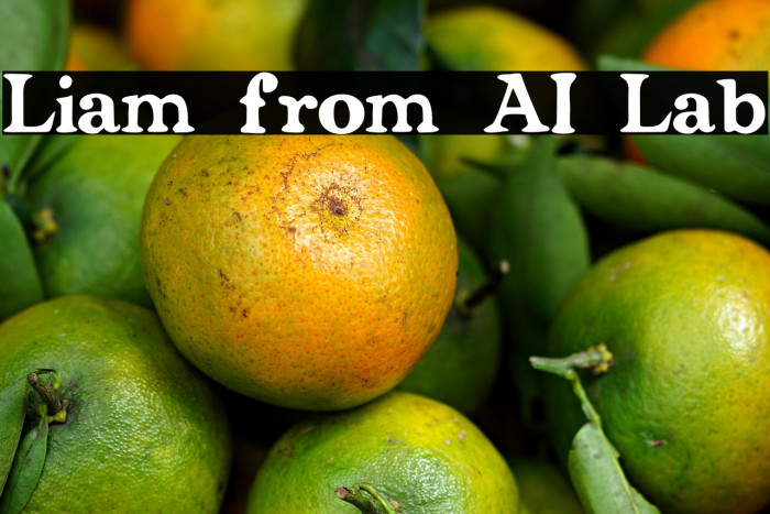 Liam from AI Lab Example 1